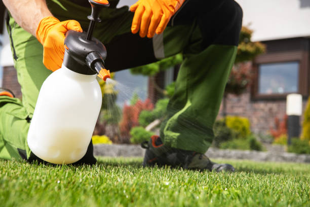 Best Commercial Pest Control  in English, IN